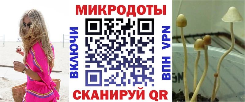 Псилоцибиновые грибы Psilocybine cubensis  Поронайск 