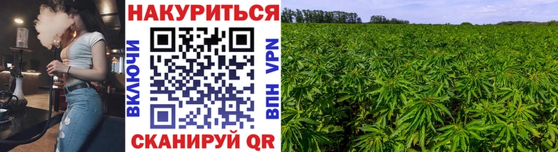 купить  сайты  Поронайск  Марихуана тримм 